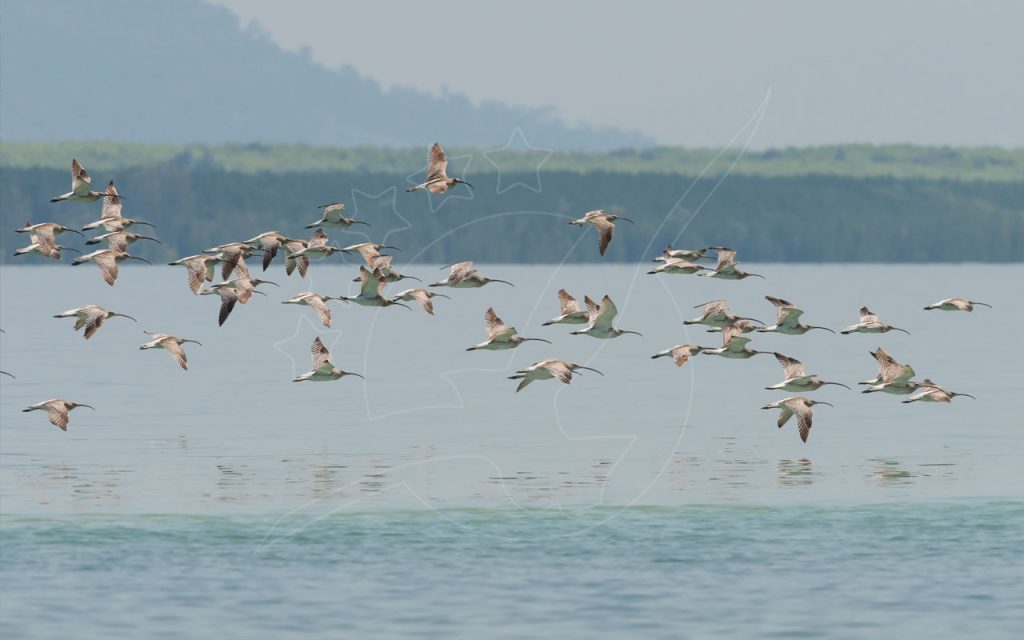 Koh Libong