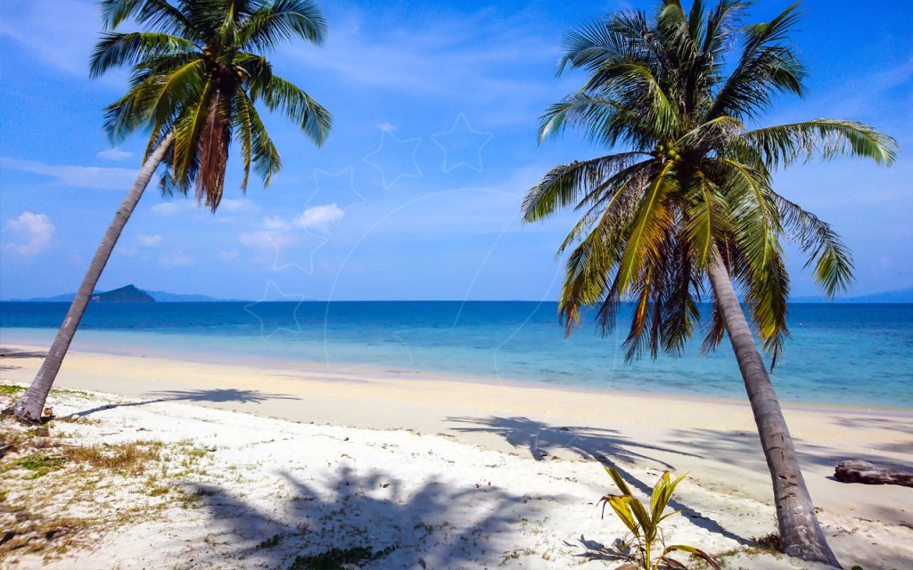 Dois coqueiros inclinados dão sombra a uma praia de areia branca com mar turquesa e uma ilha ao longe sob céu azul