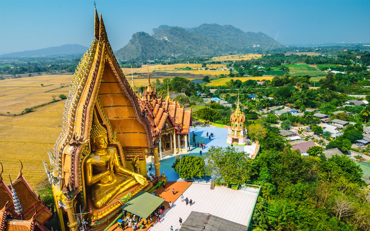 Vista aérea de templo tailandês no topo de colina com grande Buda dourado, telhados ornamentados e arrozais