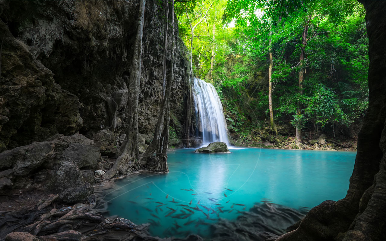 Poço turquesa sob cascata na selva, com peixes, rochas calcárias e raízes em floresta tropical densa