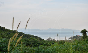 Vista enevoada do mar a partir de uma encosta verde com ervas altas em primeiro plano e promontório de ilha ao longe sob céu nublado