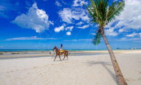 Pessoa a andar a cavalo numa praia de areia branca deserta junto a uma palmeira inclinada sob céu azul com nuvens