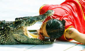 Artista com traje de seda vermelha coloca a cabeça na boca aberta de um crocodilo num espetáculo de répteis