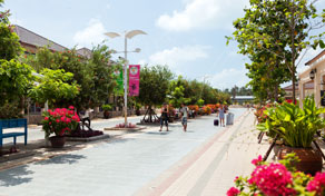 Passeio marítimo pavimentado com árvores, floreiras de buganvília rosa e mastros de bandeiras junto a praia de areia