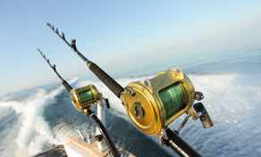 Duas canas de pesca desportiva com carretos dourados montadas num barco sobre mar azul calmo sob céu limpo