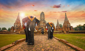 Elefantes enfeitados com os seus mahouts num caminho de tijolo em direção a antigos prangs de templo ao pôr do sol, Ayutthaya