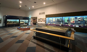 Sala de exposição de museu com pouca luz, vitrinas iluminadas nas paredes e uma longa mesa central com diorama