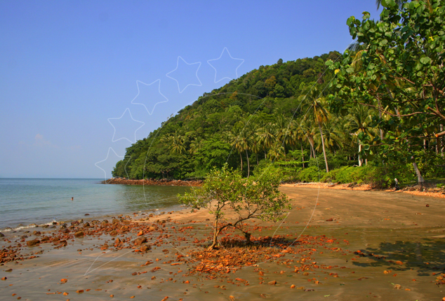 Praia tropical deserta com areia rochosa vermelho-alaranjada, um arbusto solitário e promontório coberto de selva com palmeiras sob céu azul limpo