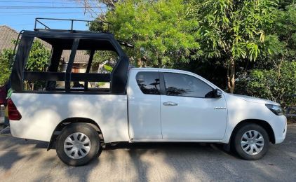 Camioneta branca com estrutura metálica preta sobre a caixa, estacionada numa berma de terra à sombra junto a árvores verdes