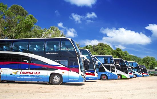 Fila de autocarros da Lomprayah estacionados num terreno de terra batida sob céu azul, com palmeiras, na Tailândia